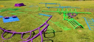 1a Playgound - Parts All Laid Out - 2017 06 17 IMG 0010