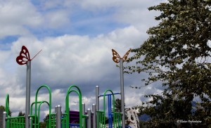 8 Playground - Butterflies - 2017 06 17 IMG 0059