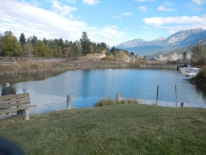 dscn0535_0