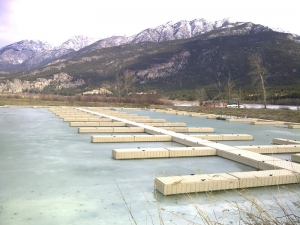 marina-1